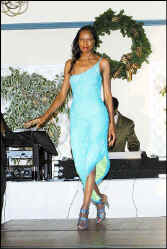 christmas11.jpg (50692 bytes)